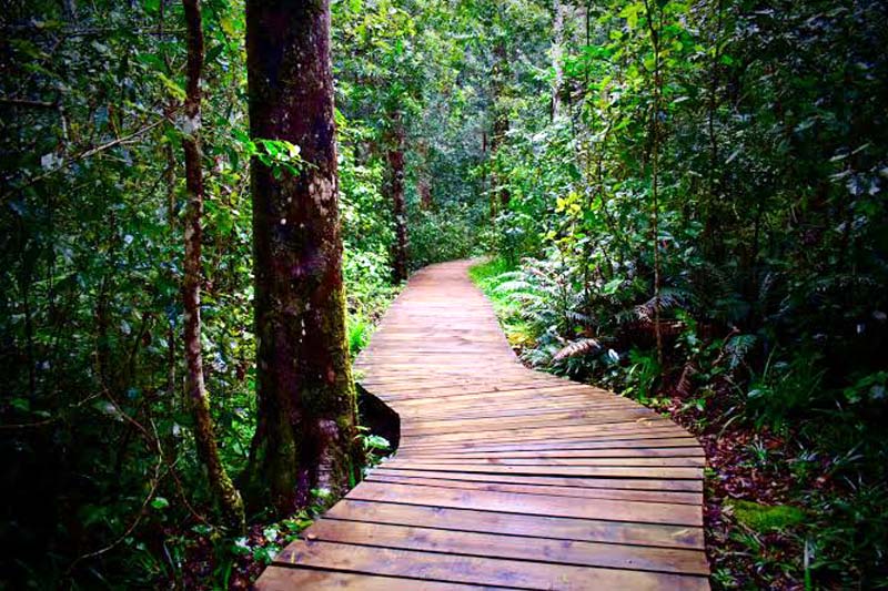 Garden Route Splendour