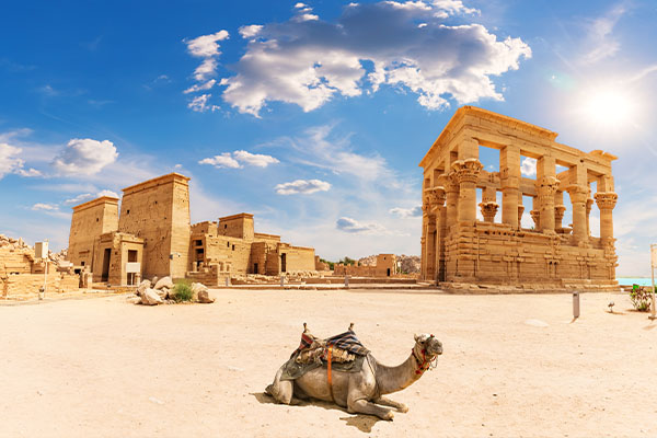 Splendour Of Egypt