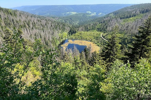 In The Heart of Germany