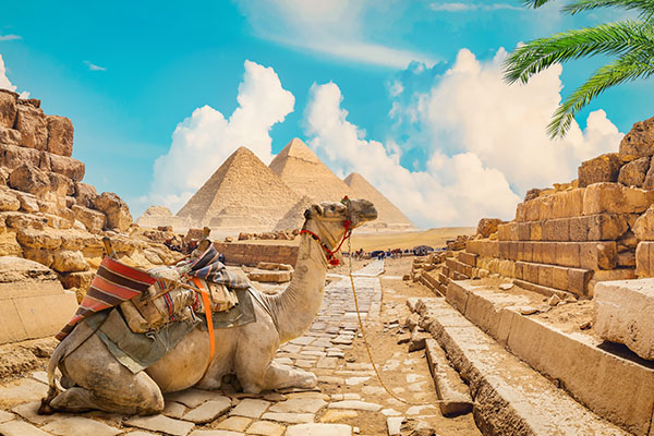 Splendour Of Egypt