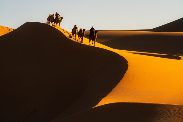 India Golden Triangle