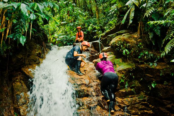 Deep Yasuni Wildlife Experience