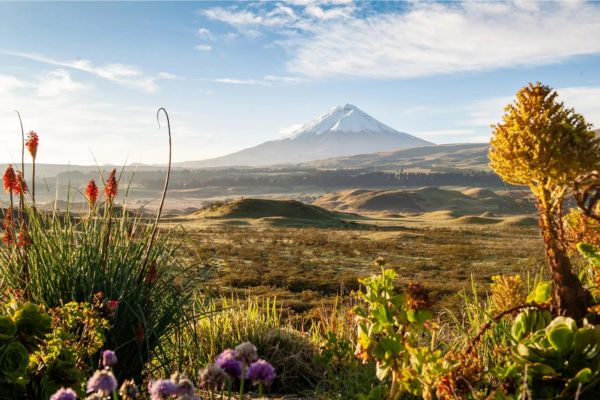 Ecuador and Galapagos