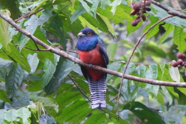 Ecuador 360 Tour Andes, Amazon, and Galapagos Exploration