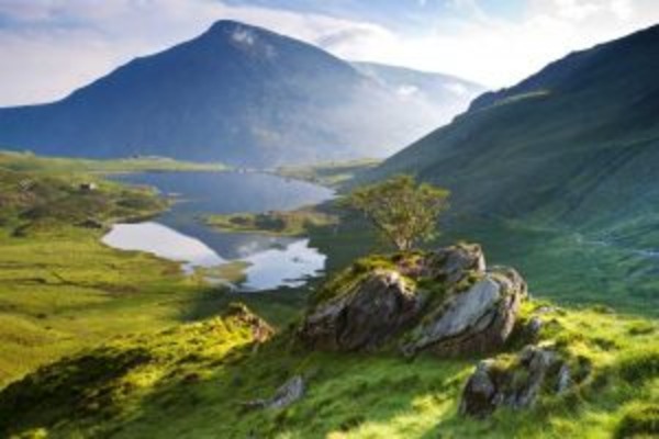 Flavours of Wales