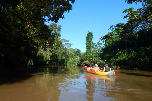 Galapagos and Amazon Quest