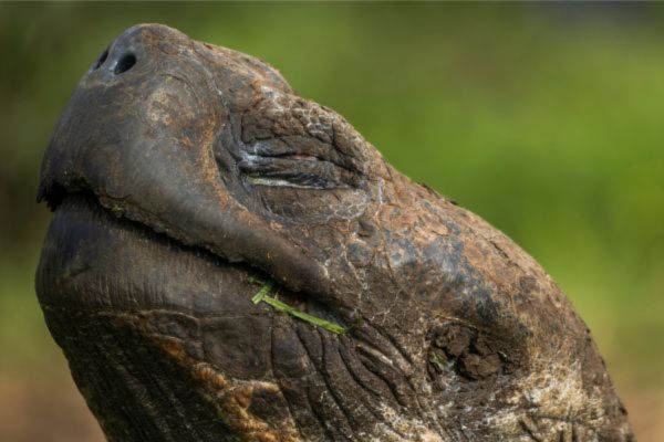 Eastern Galapagos Discovery