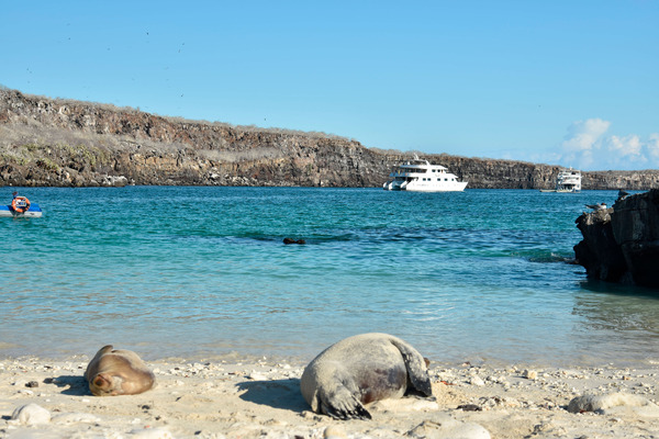 Galapagos Adventure