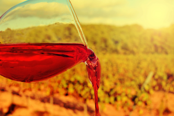 Barcelona Gourmet Tour