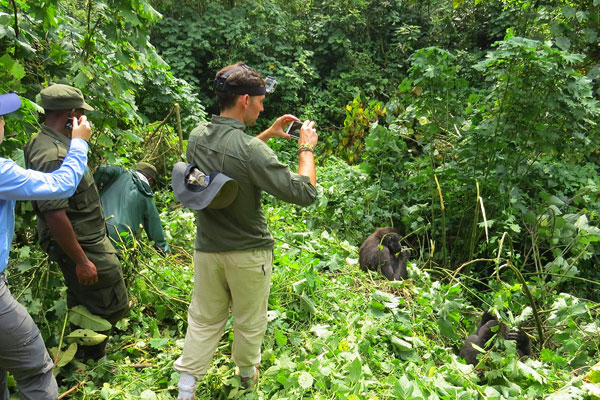 Bwindi by Air (Extendable)