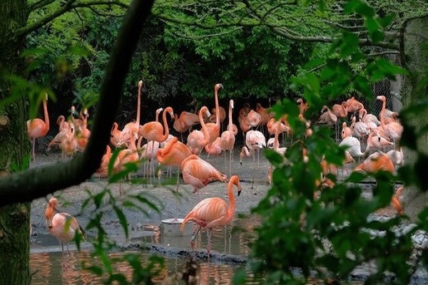 Western Galapagos Exploration