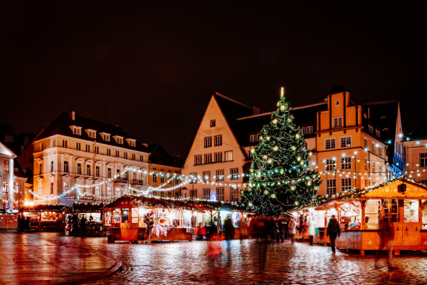 Exploring Estonia