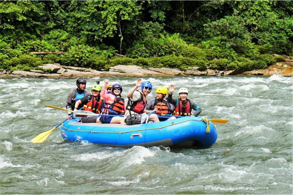Deep Yasuni Wildlife Experience
