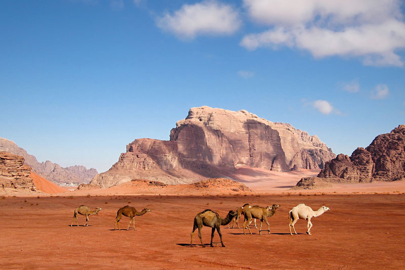 Explore Jordan