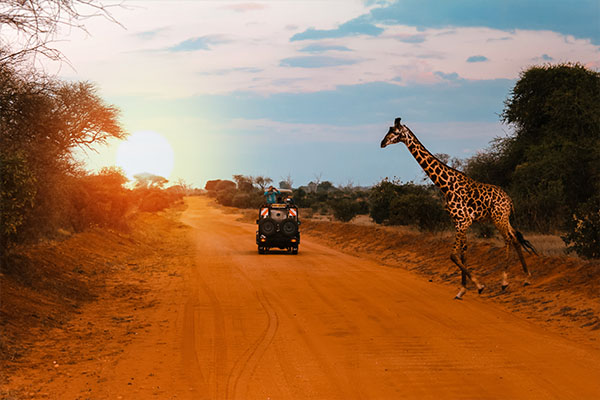 Through The Rift Valley Serena