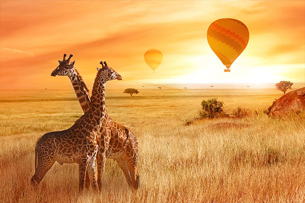 Highlights of Kenya