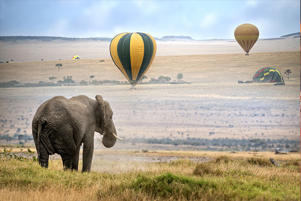 Highlights of Kenya