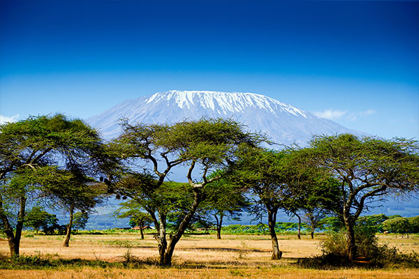 Kenya Classic (Tented)
