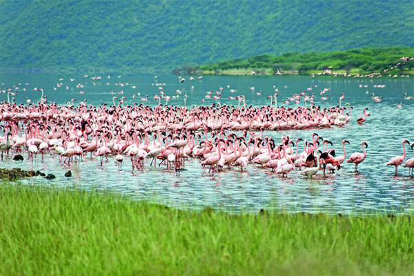 Through The Rift Valley Serena