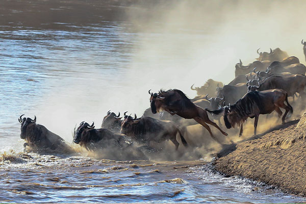 Through The Rift Valley Serena