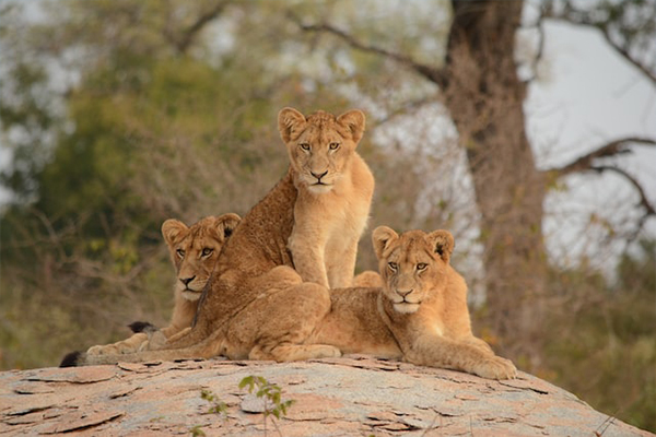 Namibia Northern Odyssey