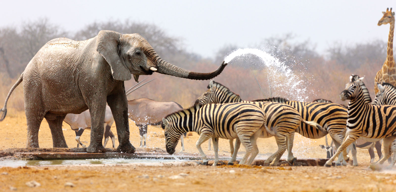 Namibia