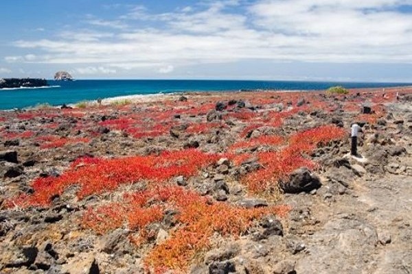 Western Galapagos Exploration