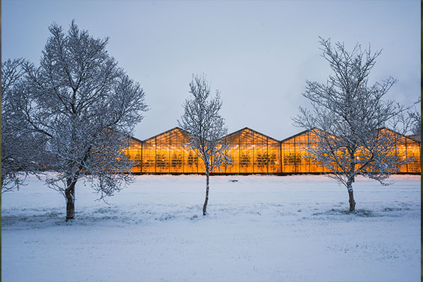 Iceland In Style