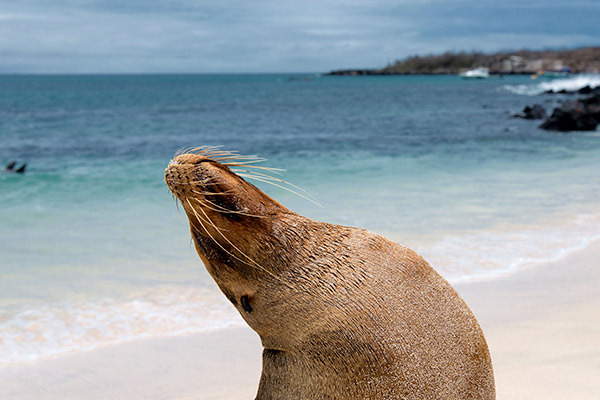 Galapagos Magic Expedition