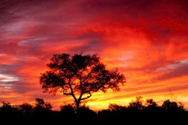 Namibia Highlights
