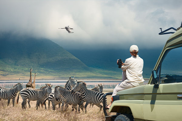 Manyara, Ngorongoro and Serengeti