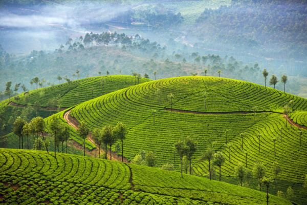 Southern India Escape