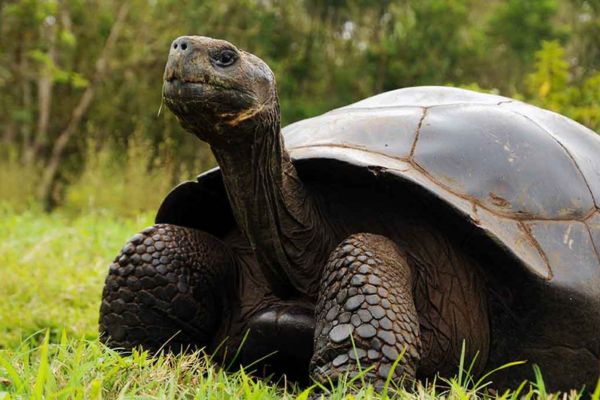 Eastern Galapagos Discovery