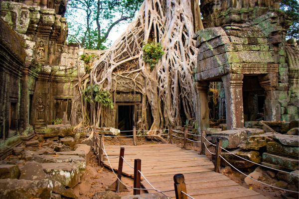 Ecstatic Vietnam and Cambodia