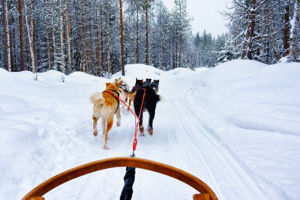Northern Sweden Self Drive