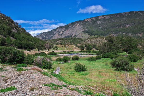 The Essence of Southern Patagonia with Torres Del Paine