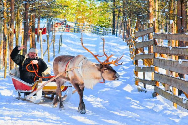 In The Heart Of Lapland