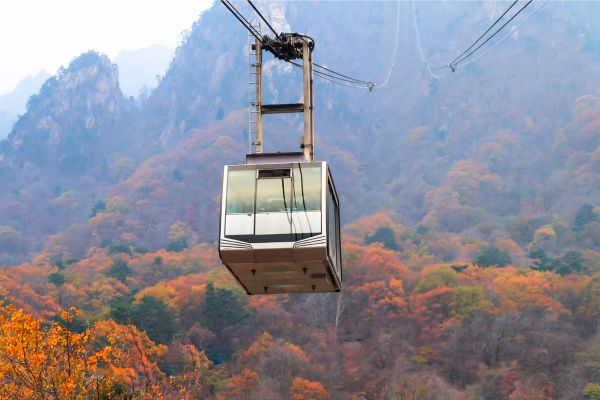 Best of Korea