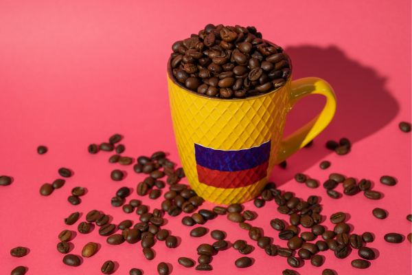 Colombian Adventure: From Medellín to Santa Marta