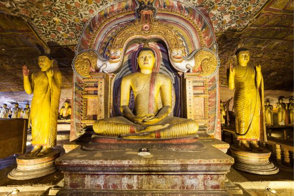 Amazing Sri Lanka