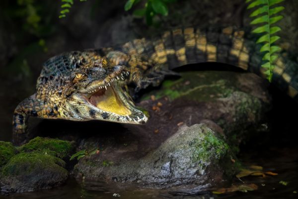 Explore Sarawak