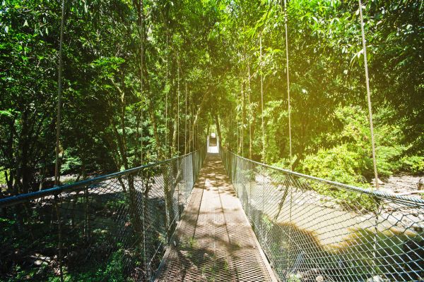 BNL Nature Trails