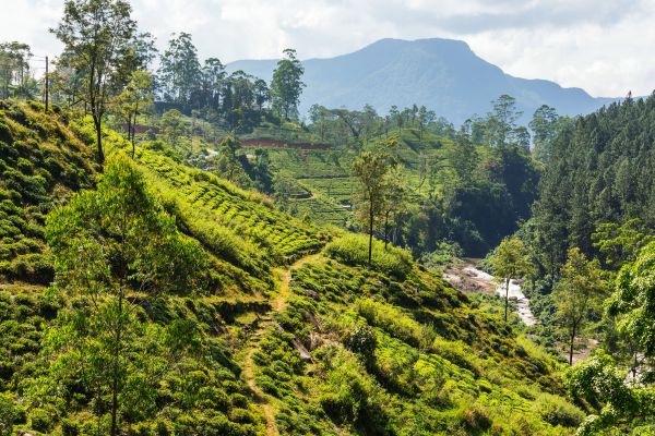 Kuala Lumpur and Borneo