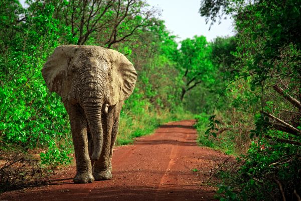 Ghana Authentic Culture and Nature