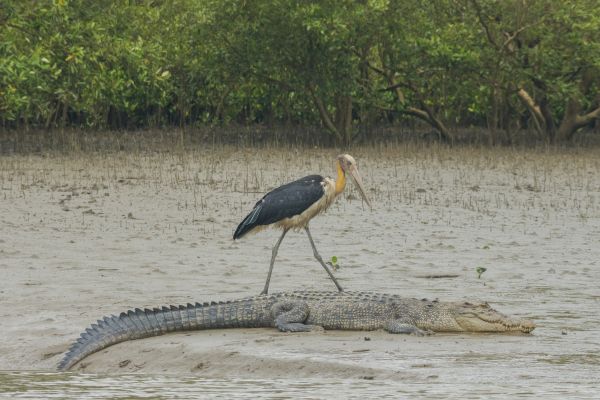 Biodiversity, Conservation and Sustainability in Ghana