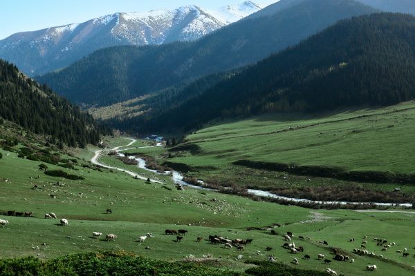 Explore Kyrgyzstan