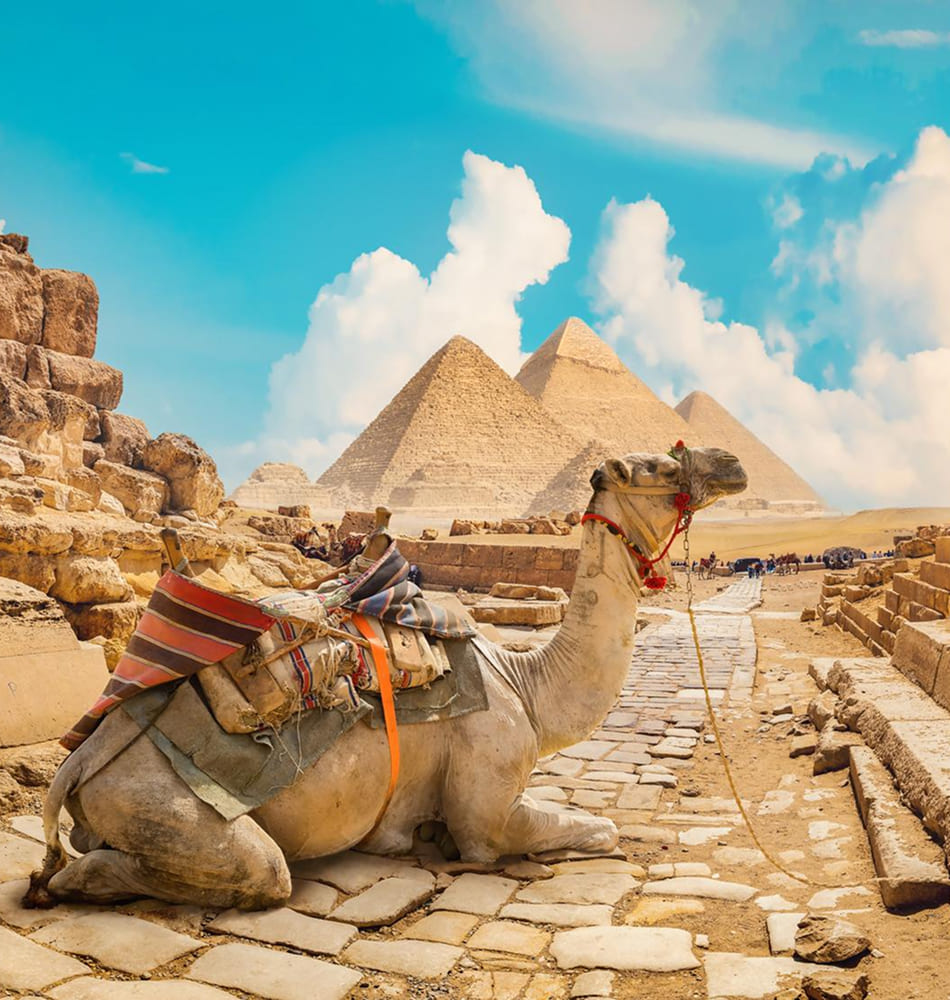 Cairo, Luxor and Hurghada